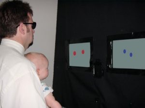 short-term memory is important for comparing objects
